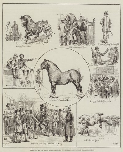 Vázlatok a Shire Horse Show-n, a Royal Agricultural Hallban, Islingtonban alkotó: S.T. Dadd