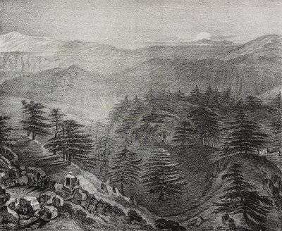 Kilátás a Libanon-hegyre híres cédrusaival, Libanon, Salvatore Puglia litográfiája a Poliorama Pittorescoból, n 10, október 15. alkotó: Salvatore Puglia