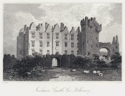 Inchmore kastély, Co Kilkenny (metszet) alkotó: Samuel (after) Austin