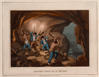 Fókák megölése egy barlangban alkotó: Samuel (after) Howitt