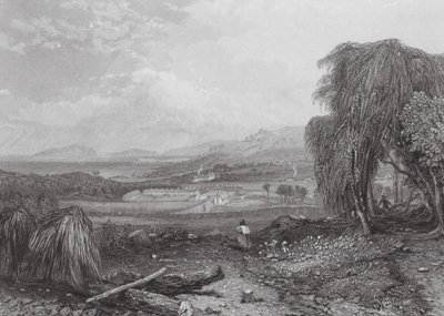 Ausztrália: Cove, Tasmania (metszet) alkotó: Samuel (after) Prout