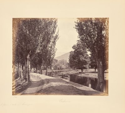Kellemes séta Srinagar közelében alkotó: Samuel Bourne