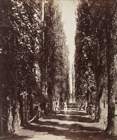  alkotó: Samuel Bourne