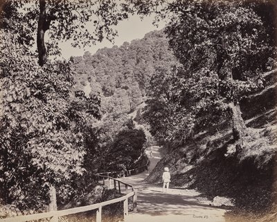 Simla. A Mall a Rabq Lodge közelében alkotó: Samuel Bourne