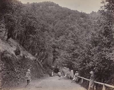  alkotó: Samuel Bourne