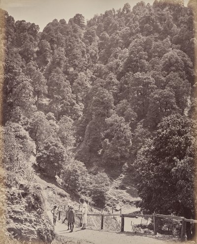 Simla. Kilátás északra a Jakko-hegyre alkotó: Samuel Bourne