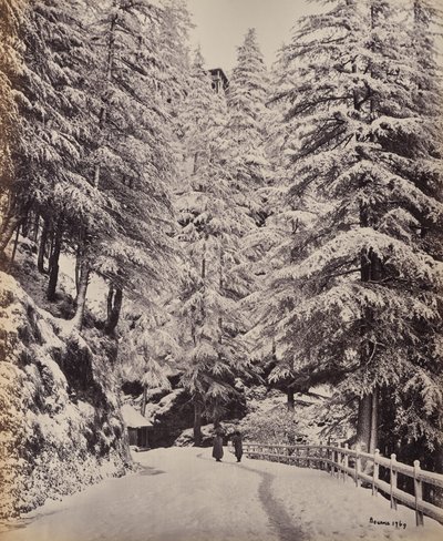 Simla. Kilátás a Mallra télen alkotó: Samuel Bourne