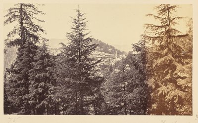 Simla; A templom a fák között, Jakko-tól alkotó: Samuel Bourne