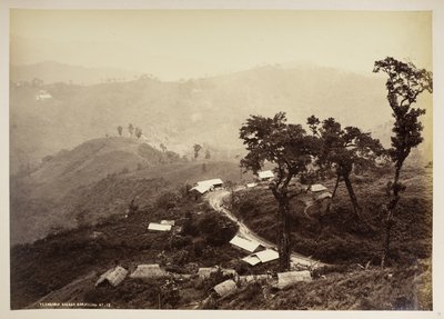 Teendari Bazár, Darjeeling,  a "Views of Darjeeling"-ből,  1860-1880    (f/w fotó) alkotó: Samuel Bourne