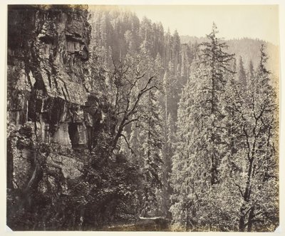 Untitled [sziklák és fák], c. 1865. alkotó: Samuel Bourne