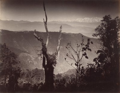  alkotó: Samuel Bourne