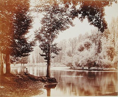 Kilátás a Dhul-csatornára, Kasmír, 1865 körül (szepia fotó) alkotó: Samuel Bourne