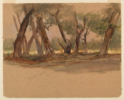 Cypress Trees, Chapultepec, Mexikó alkotó: Samuel Colman