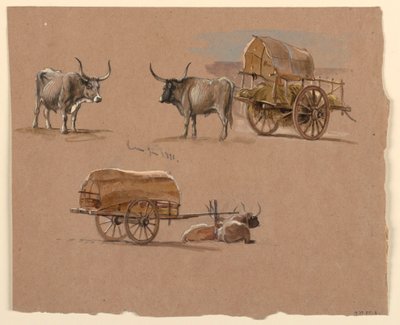 Rajz, ökrösszekerek, Róma, Olaszország, 1873 januárja alkotó: Samuel Colman