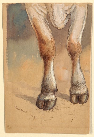 Rajz, Tanulmányok szarvasmarha után, 1871 alkotó: Samuel Colman