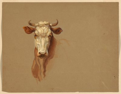 Rajz, Két tanulmány.  Szarvasmarha, 1876 alkotó: Samuel Colman