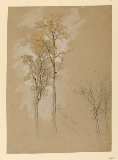 Oaks, Lady Wood Lane, Irvington alkotó: Samuel Colman