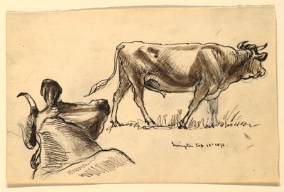 Vázlatok szarvasmarhákról, Irvington alkotó: Samuel Colman
