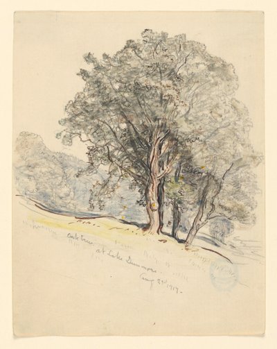 Tölgyfák tanulmányozása a Dunmore-tónál, Vermont alkotó: Samuel Colman