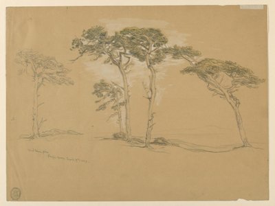 Windblown Pines, Pacific Grove. Verso: Pacific Coast út Point Sur felé. alkotó: Samuel Colman