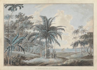 Eucheconing Point közelében, Java alkotó: Samuel Daniell
