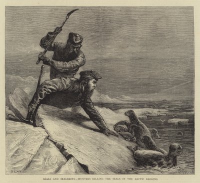 Fókák és fókabőrök, vadászok, akik megölték a fókákat az Északi-sarkvidéken alkotó: Samuel Edmund Waller