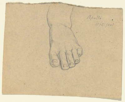 Tanulmány a Jupiter ítéletéhez (Apollo, bal láb) alkotó: Samuel Finley Breese Morse