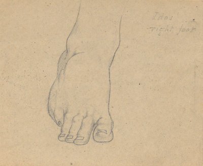 Tanulmány a Jupiter ítéletéhez (Idász, jobb láb) alkotó: Samuel Finley Breese Morse