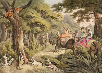 Shooting A Leopard, az Oriental Field Sports, pub. Edward Orme, 1807 (nyomtatott) alkotó: Samuel Howett