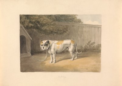 Egy Bulldog alkotó: Samuel Howitt