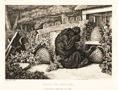 Egy barna medve megtámadta a méhek hada. 1811 (rézkarc) alkotó: Samuel Howitt