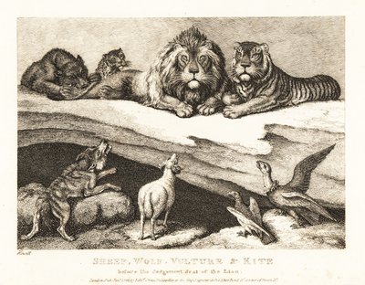 Állatok közötti bírósági ügy, oroszlán és tigris bíróként. 1811 (rézkarc) alkotó: Samuel Howitt