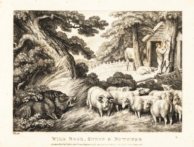A flock of sheep wait for slaughter by a butcher. 1811 (etching)   1420254   hu       hungarian Successfully Translated  Original: Great Snipe (colour litho) Translat: Great Snipe (colour litho) 1412994 hu hungarian Successfully Translated Original: Lampor alkotó: Samuel Howitt