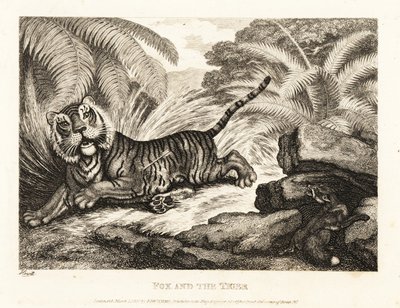 A róka egy sebesült tigrist néz. 1811 (rézkarc) alkotó: Samuel Howitt