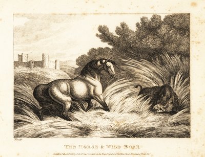 Egy ló és vaddisznó néz szembe a legelőn. 1811 (rézkarc) alkotó: Samuel Howitt