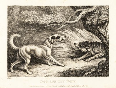 Nyakörves házikutya ételt kínál az éhező farkasnak. 1811 (rézkarc) alkotó: Samuel Howitt