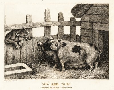 Egy nagy koca egy disznóólban, aki egy farkasra vicsorít. 1811 (rézkarc) alkotó: Samuel Howitt