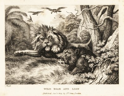 Oroszlán és vaddisznó harcol, miközben keselyűk köröznek fent. 1811 (rézkarc) alkotó: Samuel Howitt