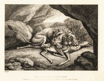 Oroszlán eszi egy szarvas tetemét egy barlangban. 1811 (rézkarc) alkotó: Samuel Howitt