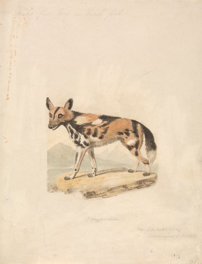 Abesszin kutya alkotó: Samuel Howitt