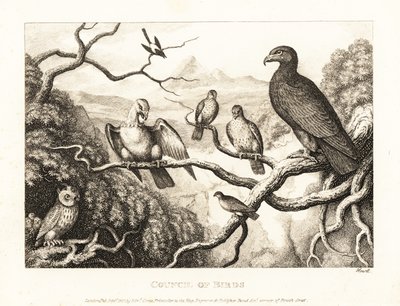 Egy sas egy fán álló madarak udvarán elnököl. 1811 (rézkarc) alkotó: Samuel Howitt