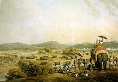 Elefántok behajtása egy Jeddába (akvarell papíron) alkotó: Samuel Howitt