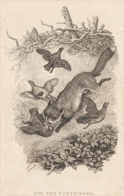 Róka és Partridges alkotó: Samuel Howitt
