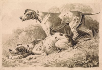 Gun Dogs alkotó: Samuel Howitt