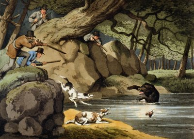 Észak-Amerika Medvevadászat, Matthew Dubourg metszete, Edward Orme kiadása, 1813 alkotó: Samuel Howitt