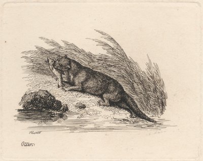 Vidra alkotó: Samuel Howitt