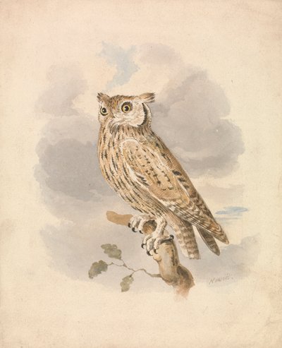 Scops Bagoly alkotó: Samuel Howitt