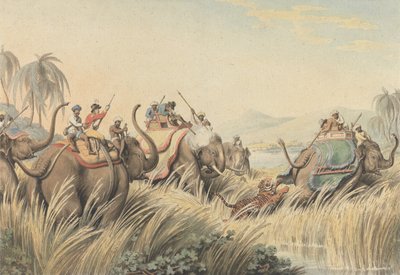 A sarokba szorított tigris: illusztráció Thomas Williamson kapitány „Oriental Field Sports” című művéhez alkotó: Samuel Howitt