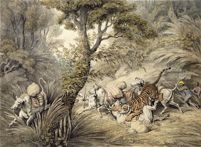 Tigris megtámad egy marhavonatot, alkotó: Samuel Howitt