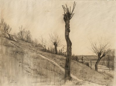 Késő téli táj, 1884 (szén, sima papírra) alkotó: Samuel Isham
